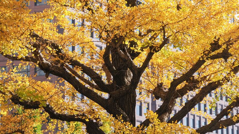 Demystifying co-investment