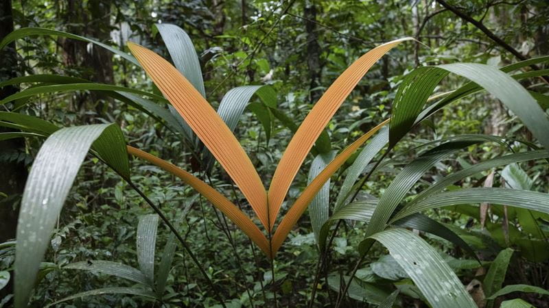 Inspiring innovation: private equity's role in developing environmental technology